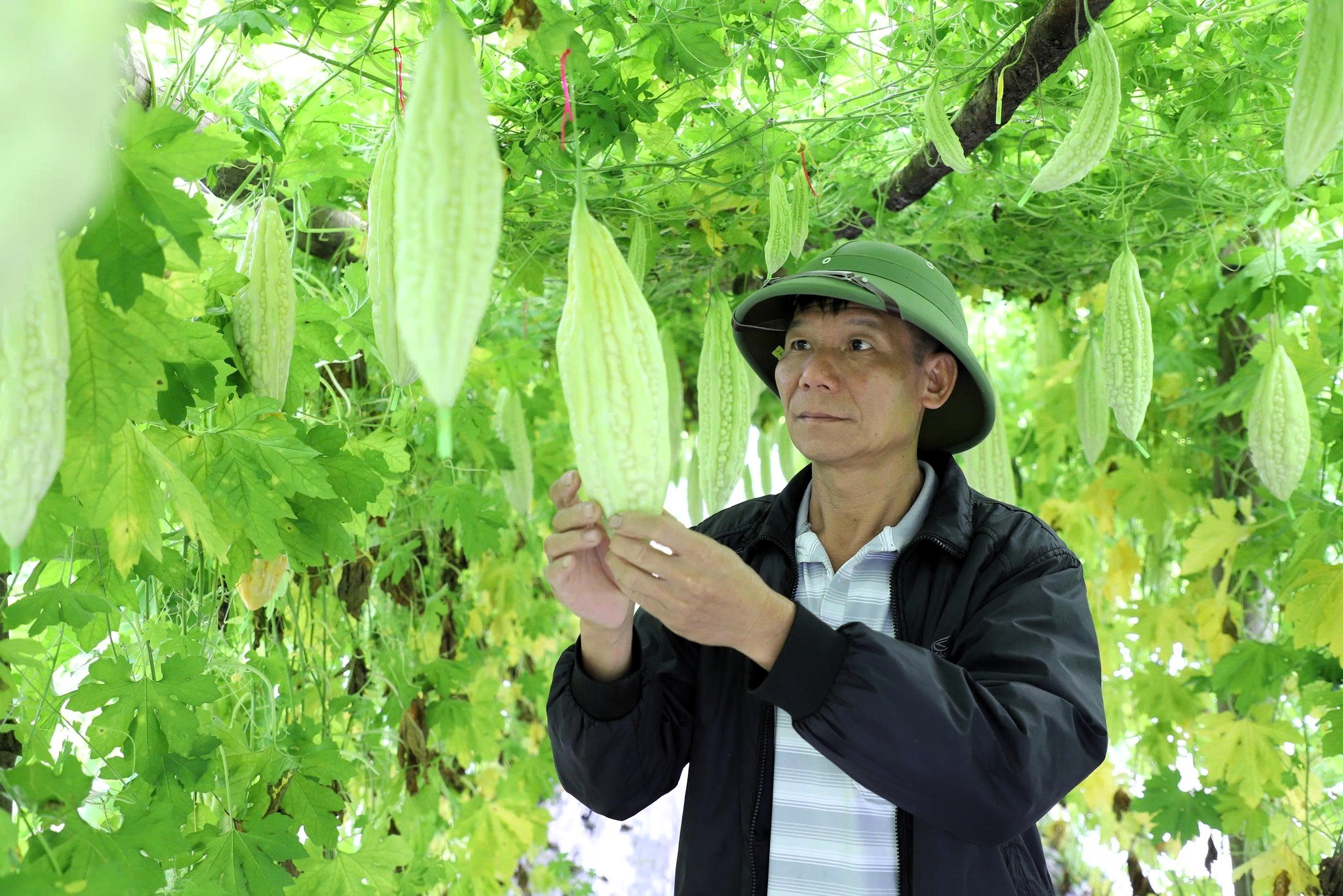 anh tin bai